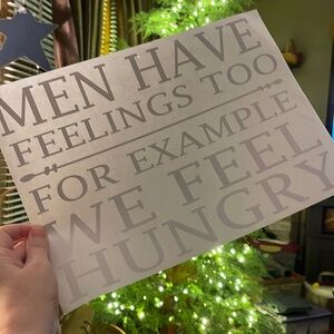 Transfer: Men have feelings too, for example we feel hungry